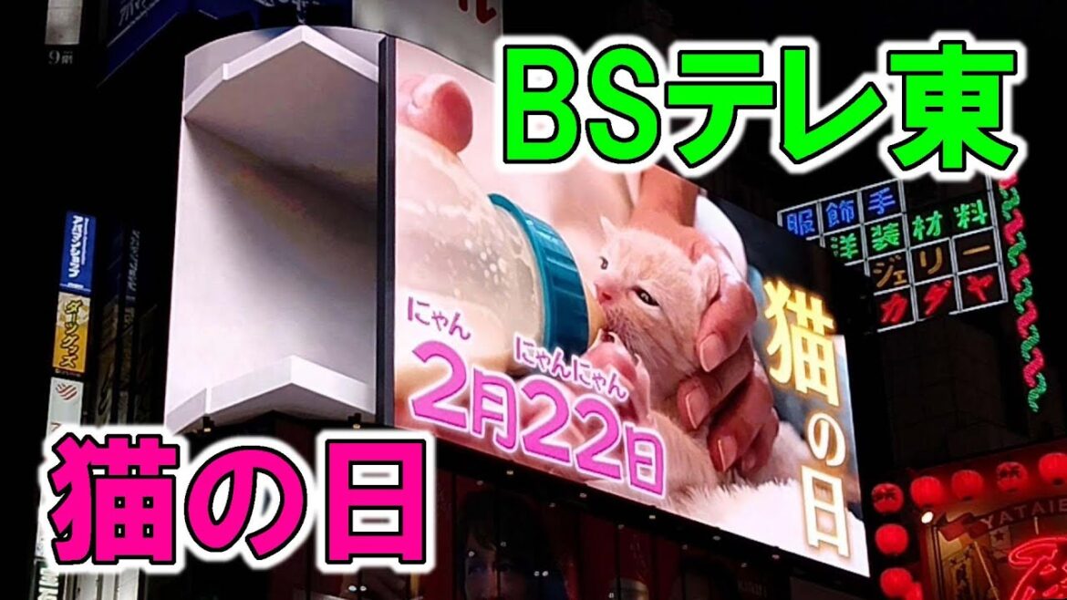 BSテレ東 ～ 猫の日 ～ フルバージョン 【東京観光】 新宿 猫 看板