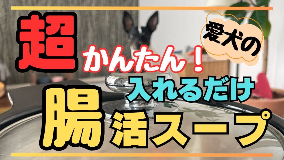 『日本テリア』つむぎの腸活スープ