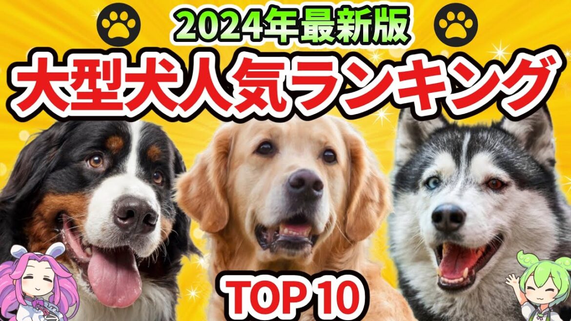 【2024年最新版】大型犬人気ランキングTOP10 それぞれの性格や特徴も紹介! 【2024年最新版】大型犬人気ランキングTOP10 それぞれの性格や特徴も紹介!