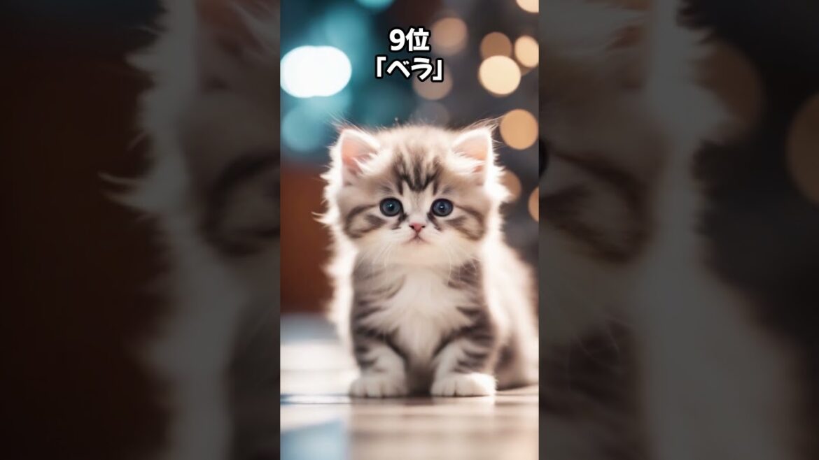 【人気の猫】ペルシャ猫に多い名前20 #shorts