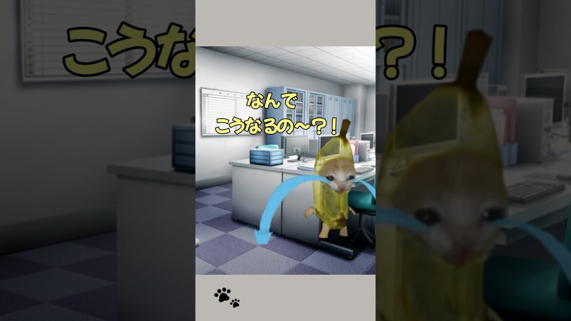 猫のせいで遅刻した話【猫ミーム】