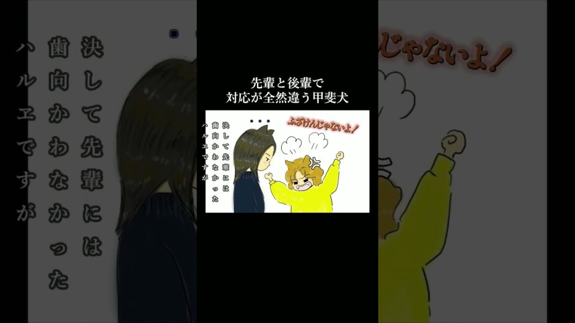 先輩には従い後輩には厳しく指導する甲斐犬