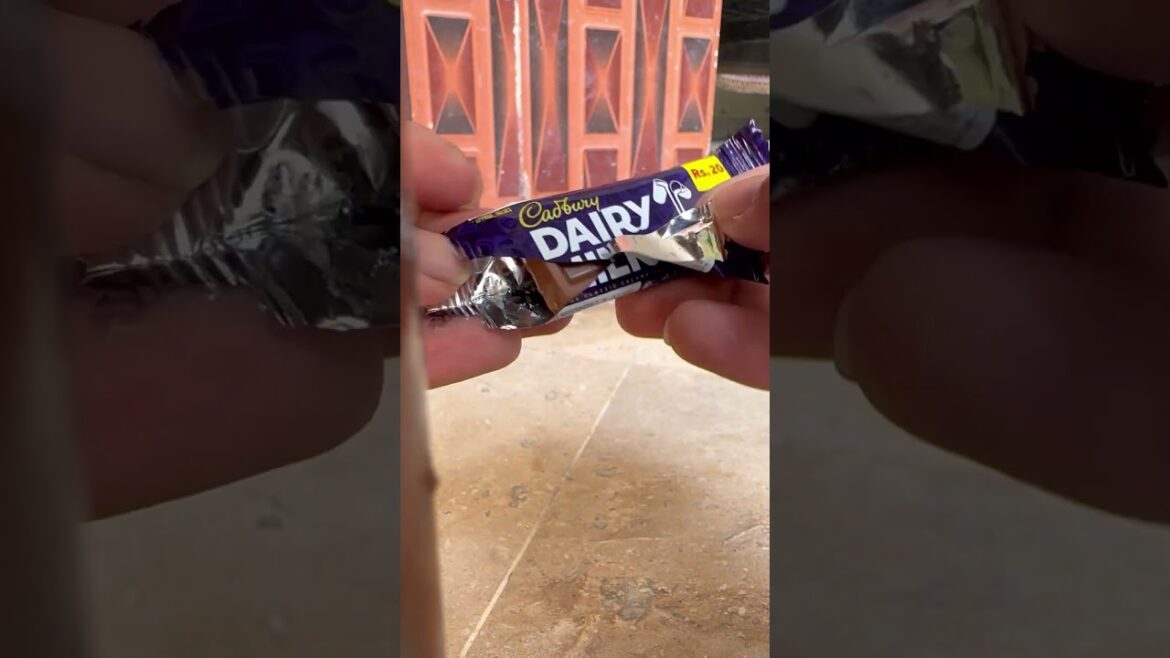 Brown cat Dairy Milk #shortvideo