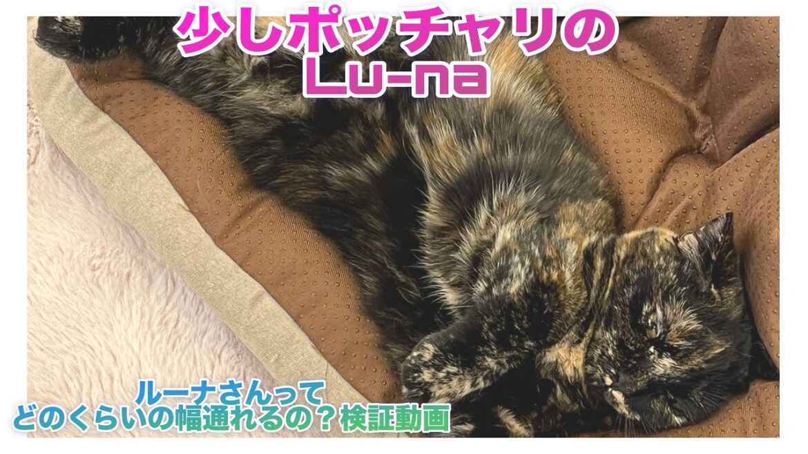 ルーナってどのくらいの幅まで通れるの？？