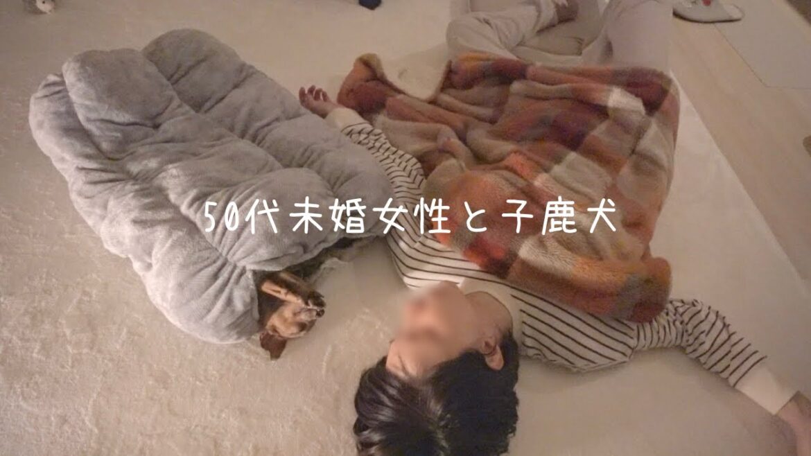 50代、未婚、子無し。かけがえのない一人息子と楽しい時間を力尽きるまで過ごす休日【ミニピン】