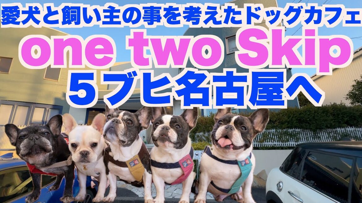 ドッグカフェ one two Skip 【 フレンチブルドッグ french_bulldog 】 ５ブヒ名古屋へ