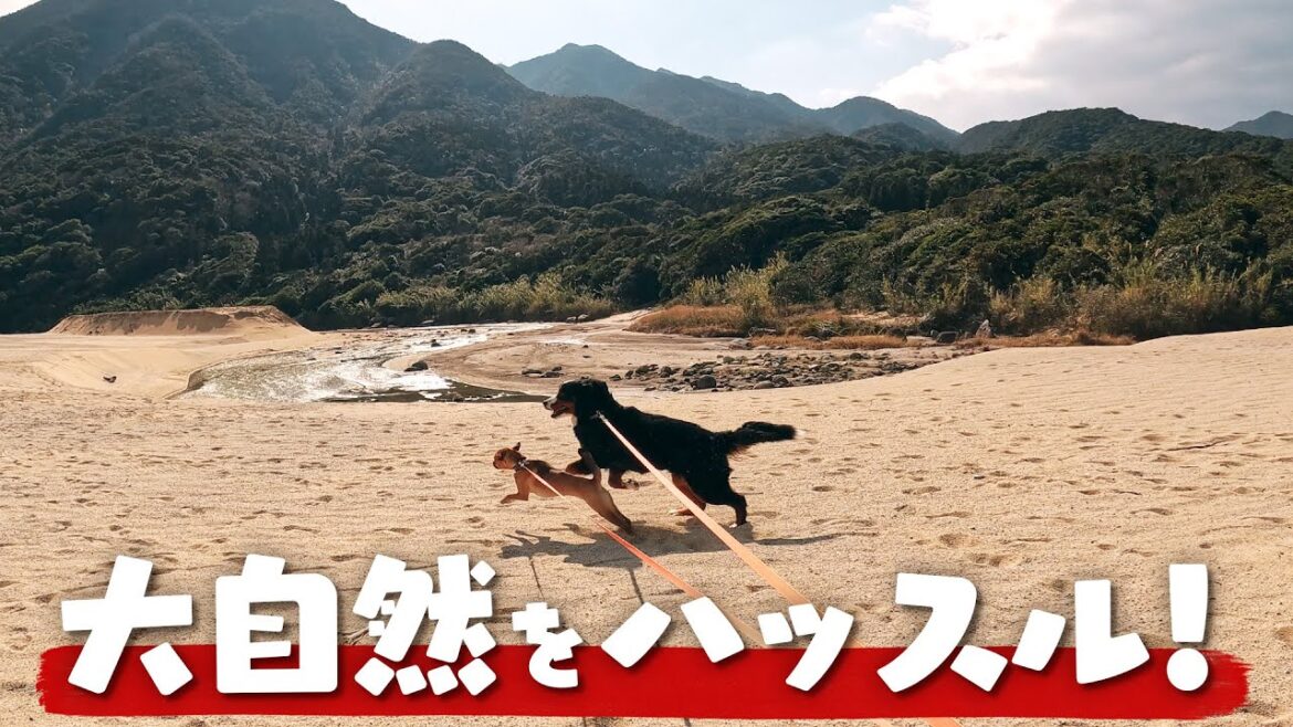 大自然inテオとヨー