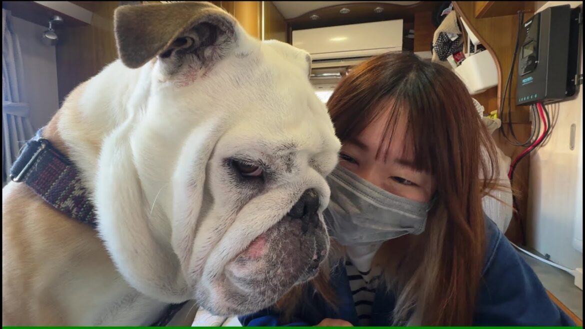 オヤツ終了が分かった途端に、テンションが100→0に瞬時に落ちこむ愛犬が可愛すぎた！