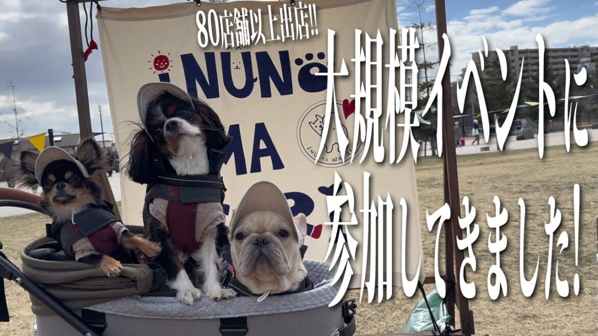 【最高すぎ！】2024年いぬのおまつりINまつばら秋瀬川公園に行ってきました♪