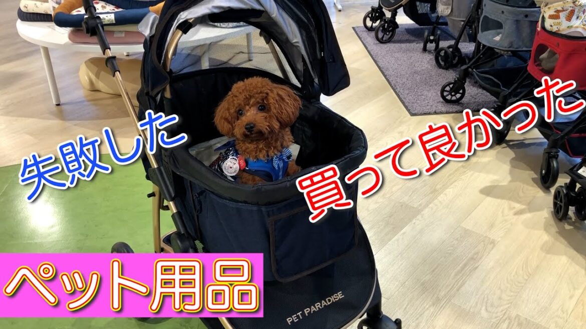 【トイプードルのテト】愛犬に購入したもの。買って良かった・失敗したペット用品#トイプードル #toypoodle 【トイプードルのテト】愛犬に購入したもの。買って良かった・失敗したペット用品#トイプードル #toypoodle