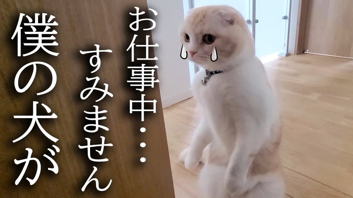 体調不良の経過報告...
