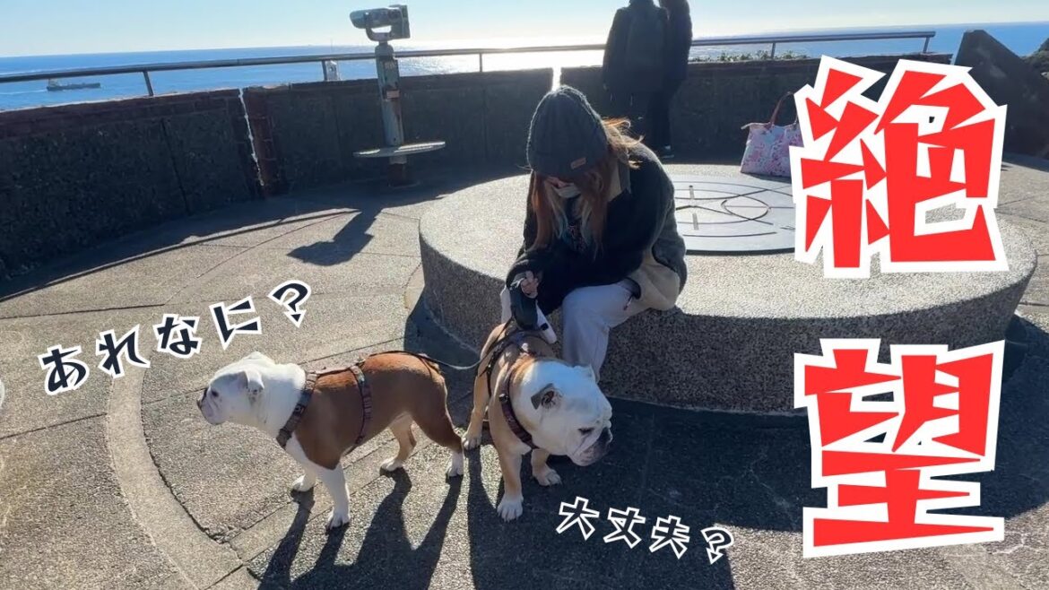 ママが絶望に暮れてる時に横にピッタリと寄り添って励ましてくれる愛犬が優しすぎた！