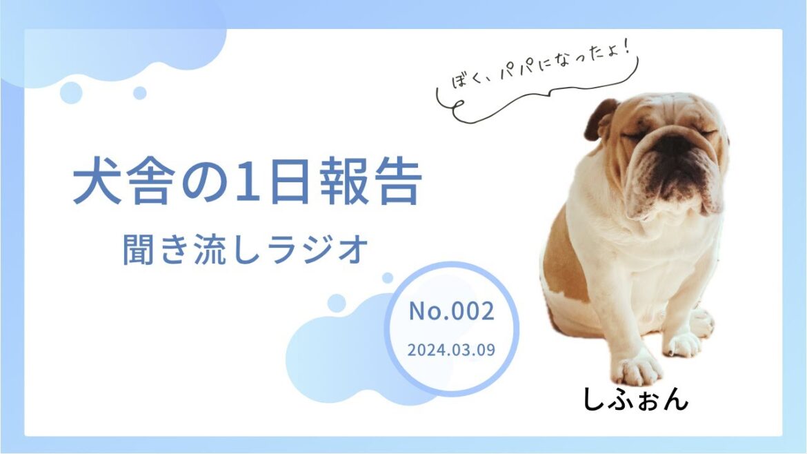 【音声のみ】第００２回！しふぉんも立派なパパだよ