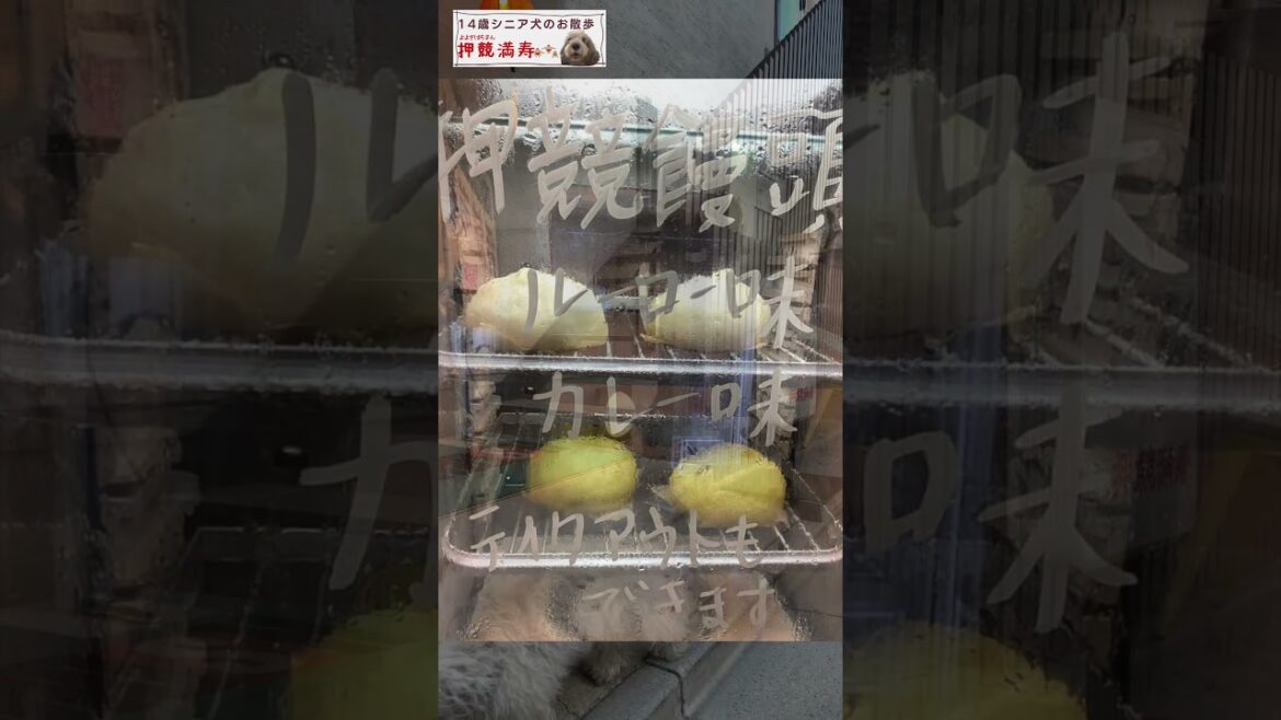 【14歳シニア犬のいる暮らし】おしくらまんじゅう「押競満寿」で魯肉飯🍚をテイクアウト🥡