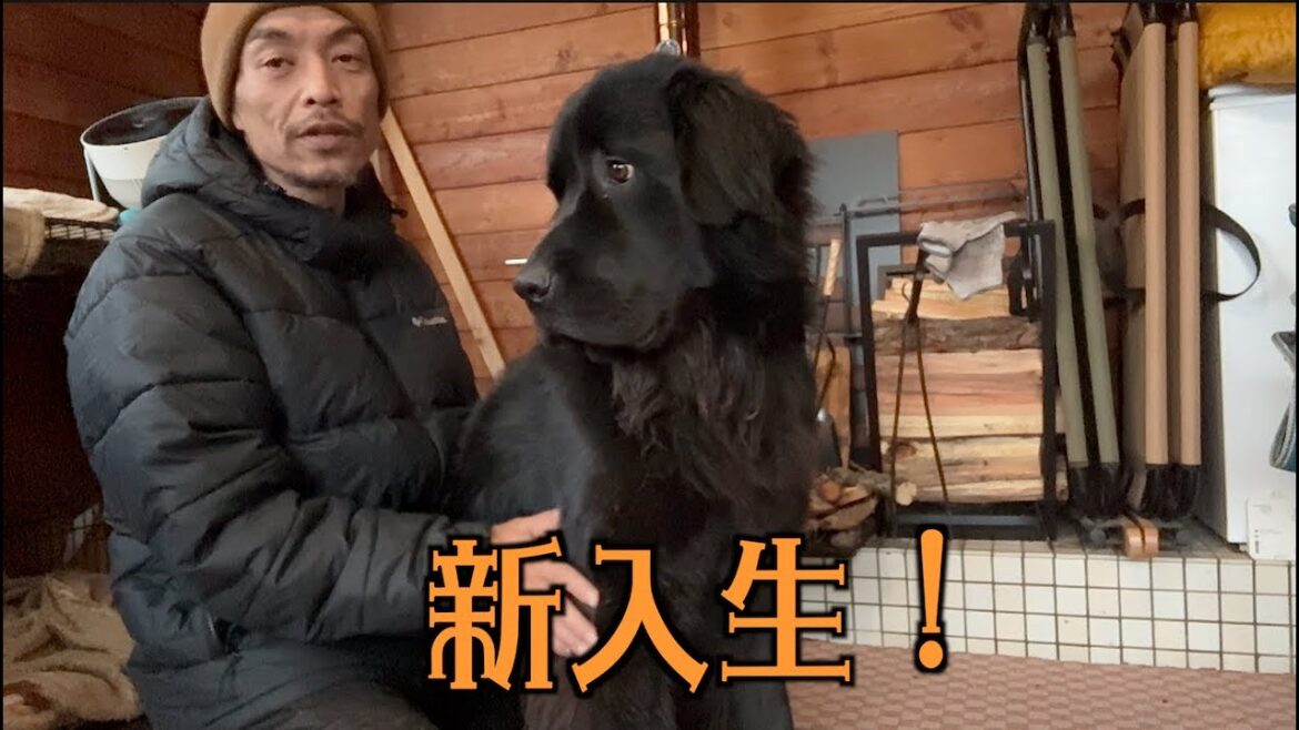 新入生です