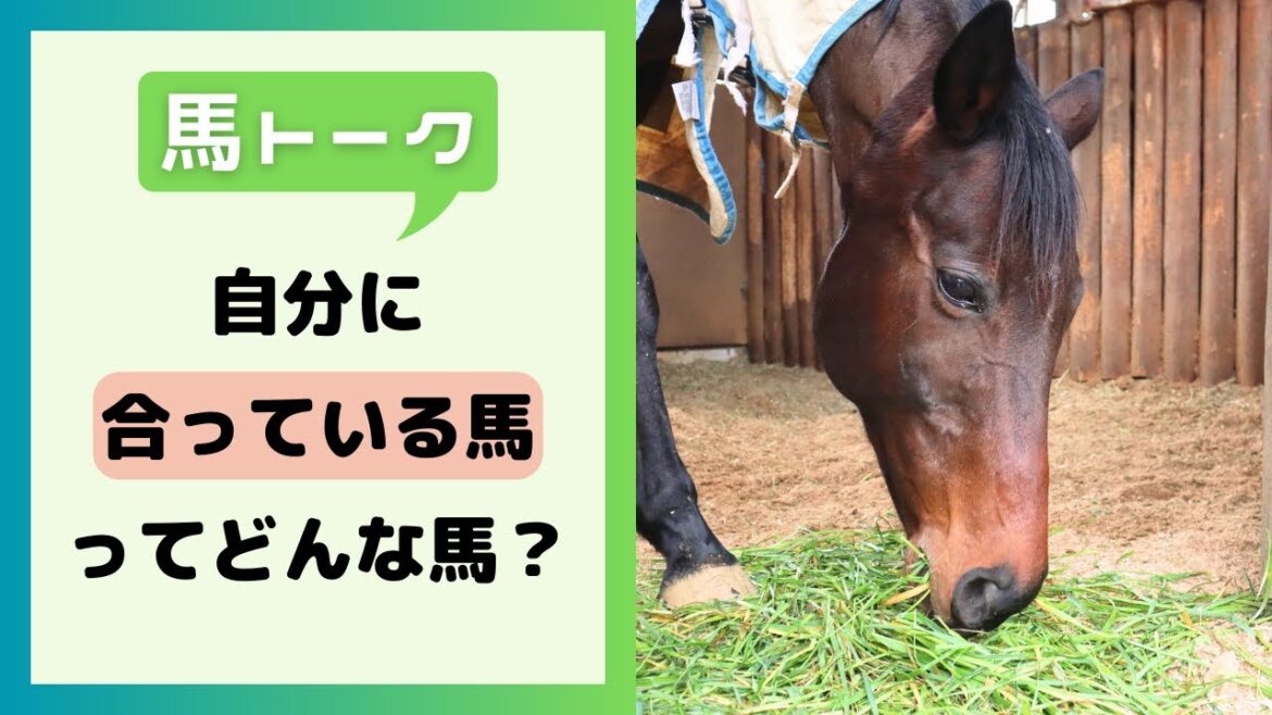 自分に合っている馬ってどんな馬？【馬トーク】