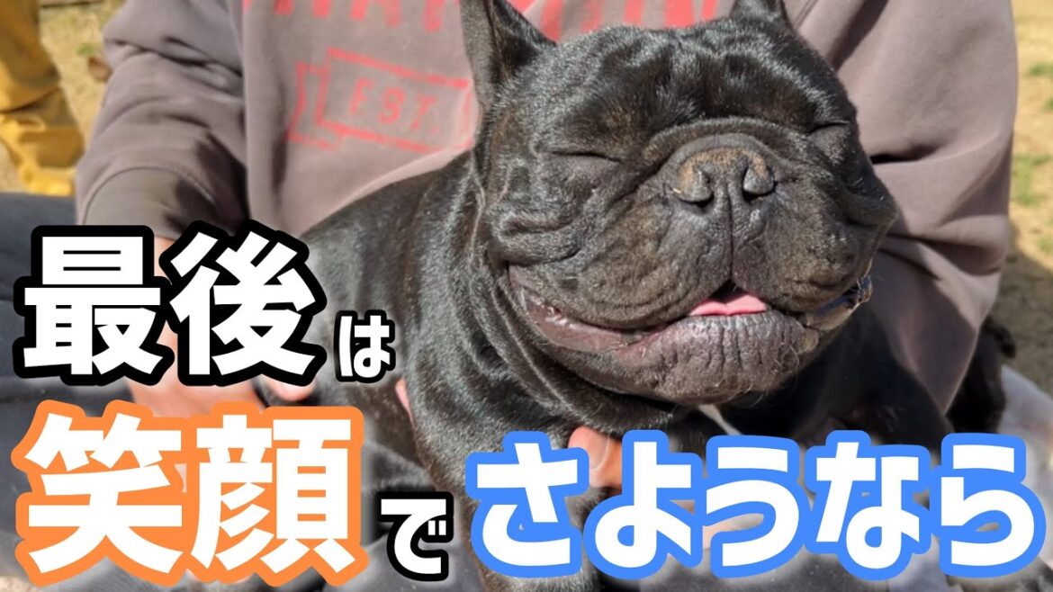 ペットと最後のお別れをしてきました