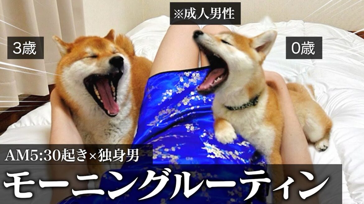 【可愛くて朝も起きれない…】子犬を迎えて多頭飼いになったリアルなモーニングルーティン「実家暮らし。20代。未婚」 【可愛くて朝も起きれない…】子犬を迎えて多頭飼いになったリアルなモーニングルーティン「実家暮らし。20代。未婚」