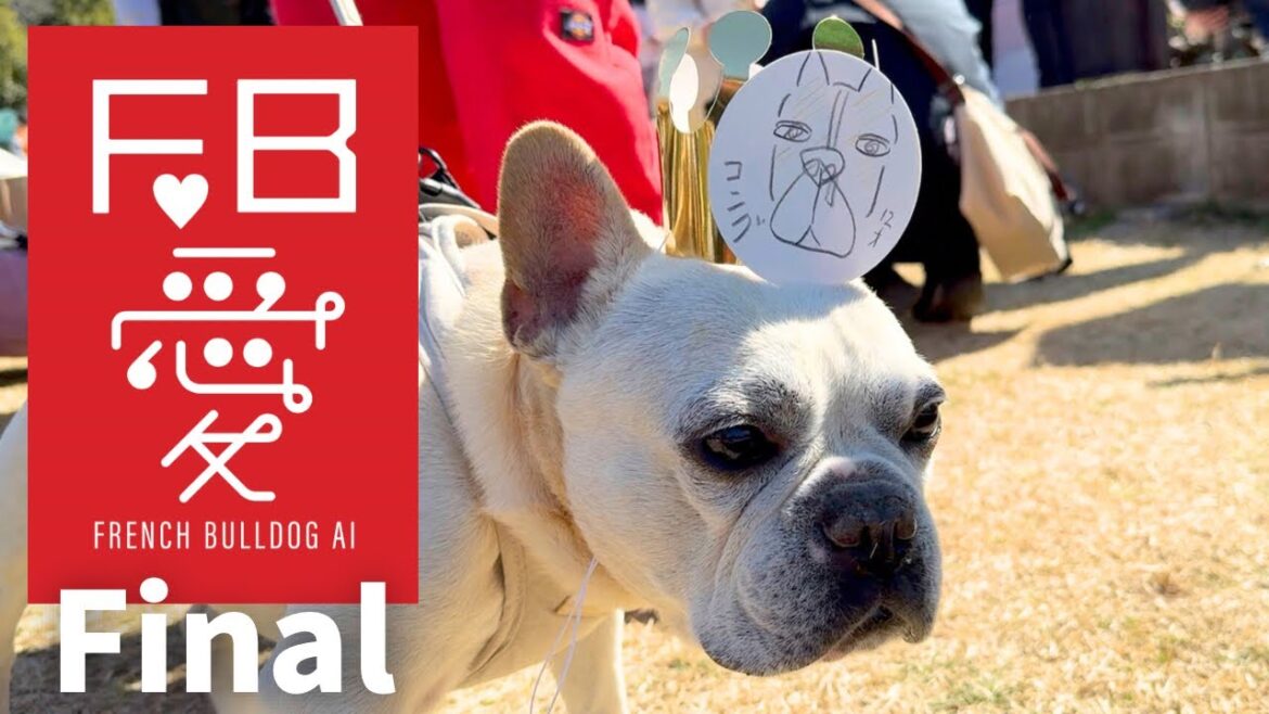 【FB愛2024Final】フレンチブルドッグを愛するオーナー達によるチャリティーイベントへ初参加したら笑顔が連鎖する素敵すぎる空間だった！