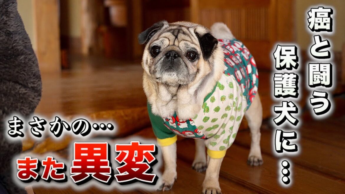 【体に２つの異変】が見つかり病院へ直行しました