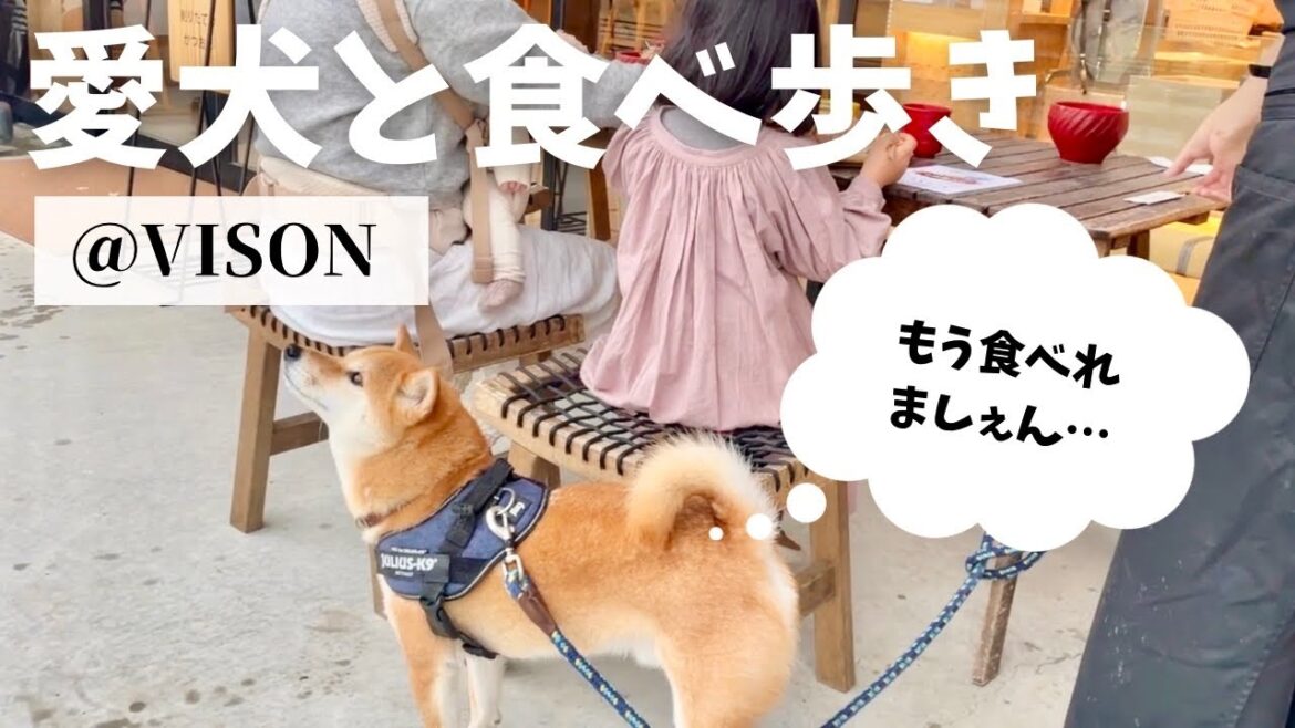 犬と食べ&飲み歩きできる至福の三重スポットを見つけました【VISON】 犬と食べ&飲み歩きできる至福の三重スポットを見つけました【VISON】