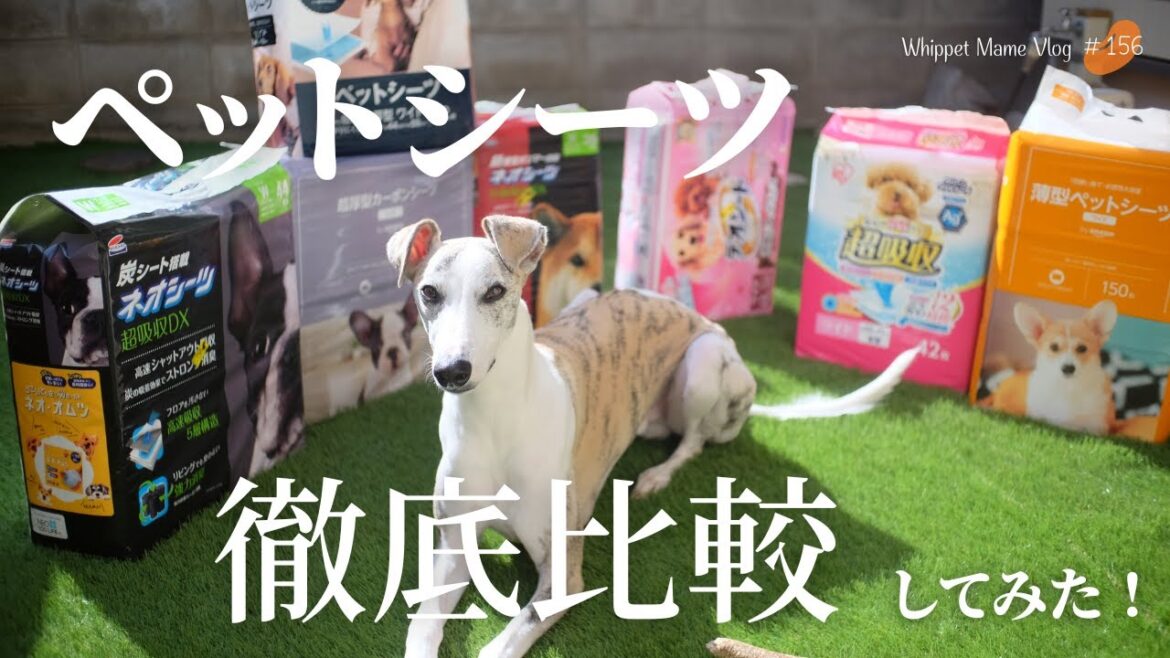 ペットシーツ７社を比較！ついに安くて良いオススメ商品を発見　#156