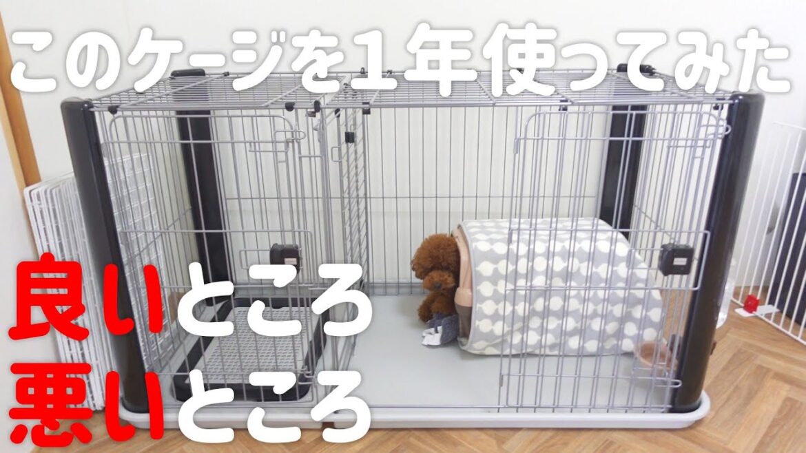 ケージ(サークル)選びの参考に！我が家が選んだ理由、使ってみて良い点、悪い点を紹介します【アドメイト ヴィラフォートサークル】