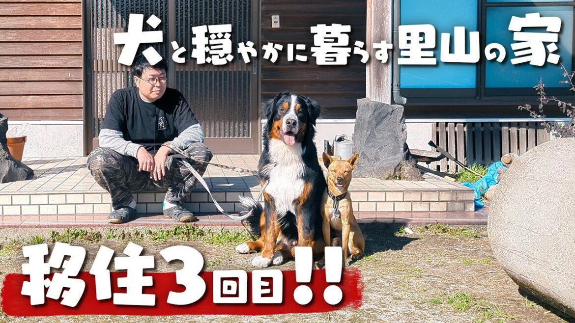 【移住経験3回!!】里山にある家を犬のためにDIY!!!