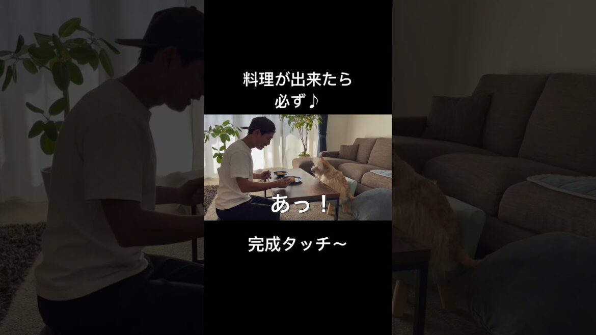 愛犬と完成タッチ〜♪が日課です。レークランドテリア #dog