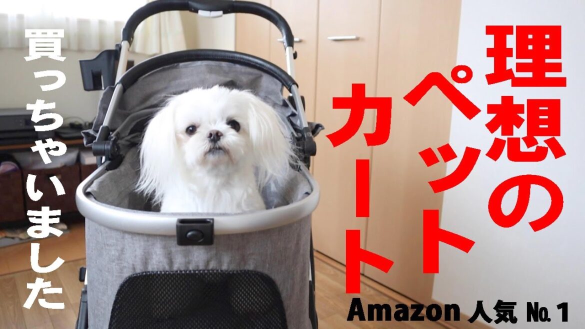 ほぼ理想のペットカート【Amazon人気№１】SKISOPGOを買ちゃいました