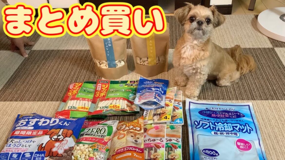 お気に入りの犬用おやつをまとめ買いしました チワワ×シーズー
