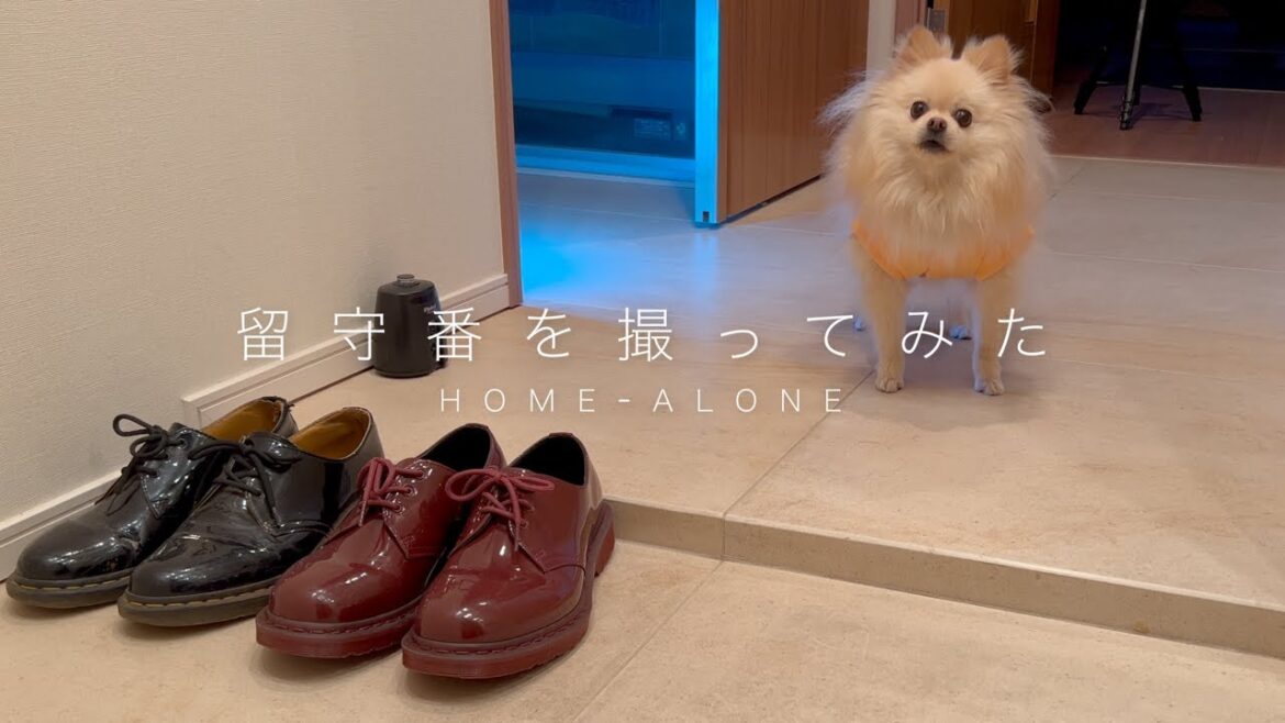 ゴミ捨ての間、留守番させられた2歳児の絶望 ゴミ捨ての間、留守番させられた2歳児の絶望