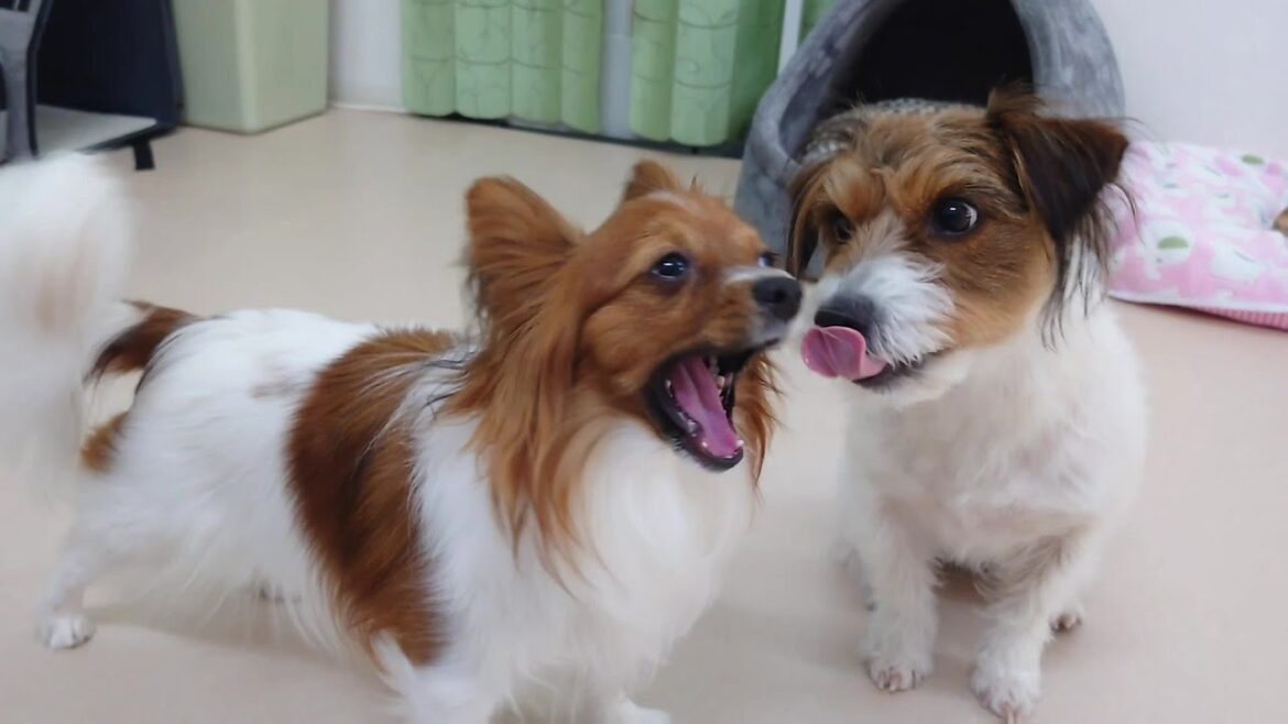 イチャイチャ女子 🐶ひみつきちなう!①🐶  2024年3月28日 イチャイチャ女子 🐶ひみつきちなう!①🐶  2024年3月28日