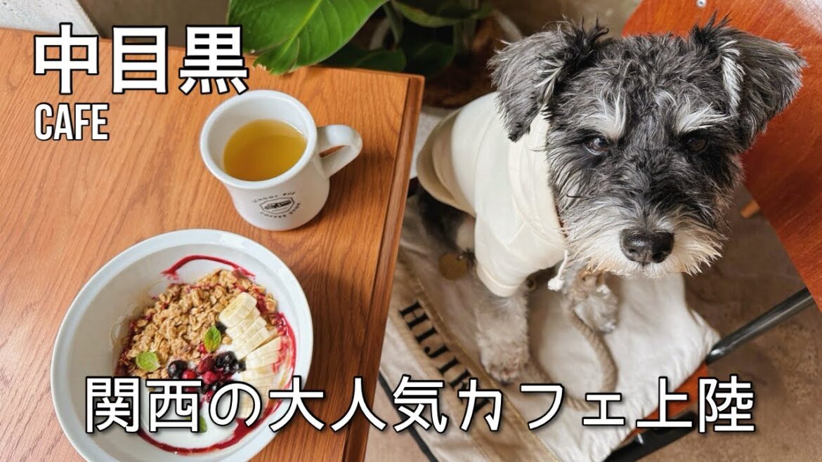 【中目黒カフェ】関西の人気カフェがついに東京上陸🚌✨オフィス併設オシャレカフェ☕️