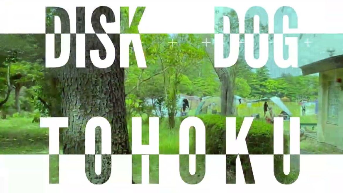 【PV】ディスクドッグ東北 / DISK DOG TOHOKU / 2024 SEASON 開幕 【DISCDOG/DOGSPORTS】