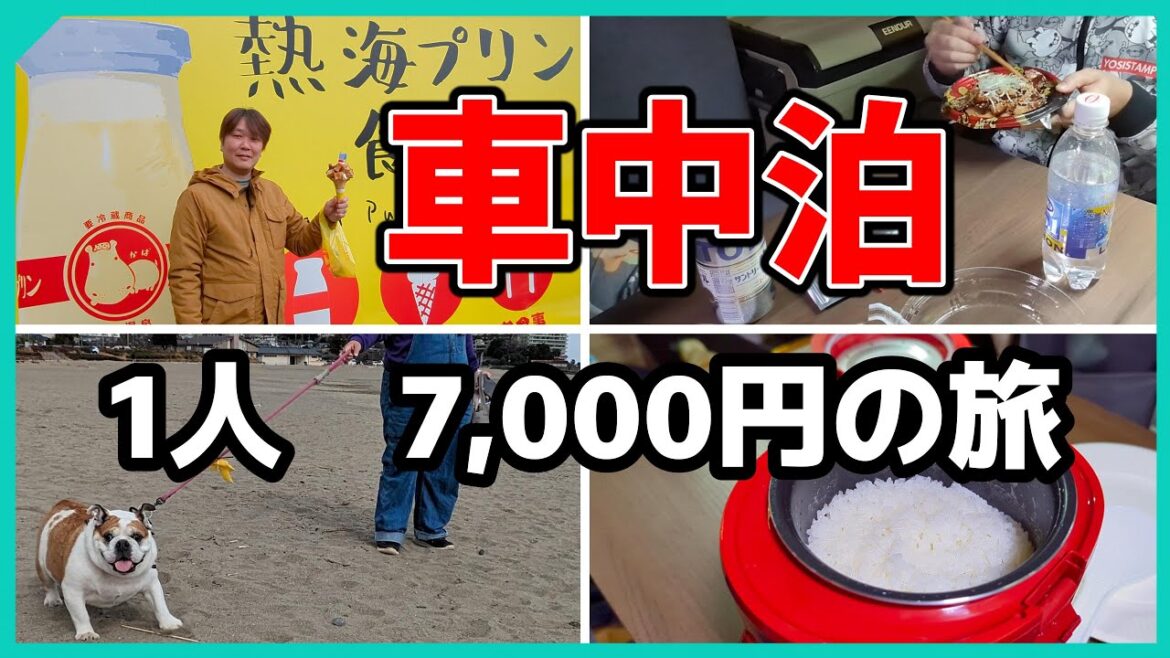 【伊東マリンタウン】ブルドッグと40代夫婦の車中泊旅【犬と車中泊】