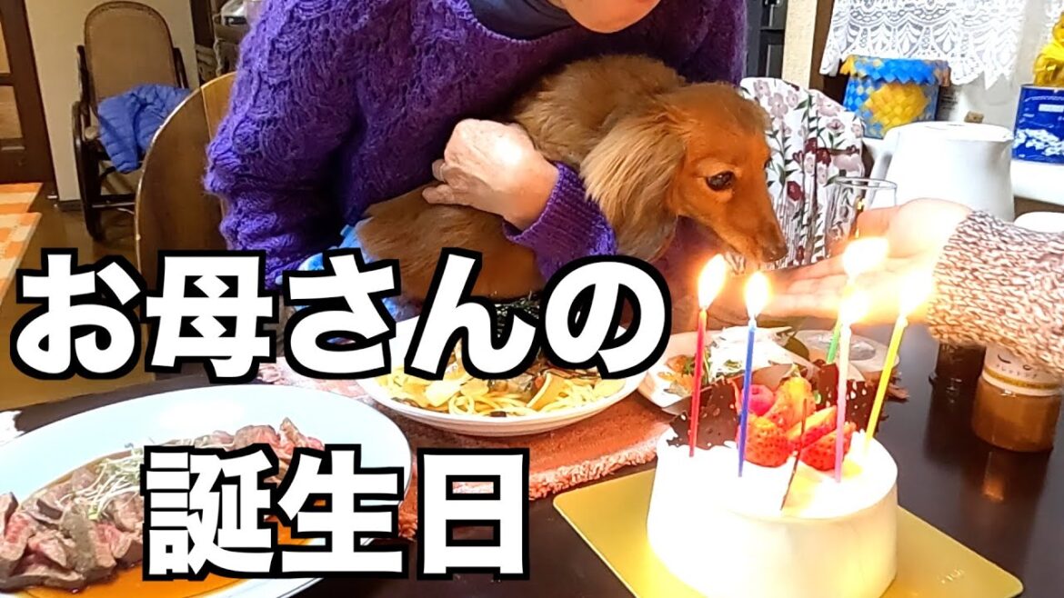 【感激】お母さんの誕生日に腕をふるう夫と食べるだけの愛犬【カニンヘンダックスえびすの日常】