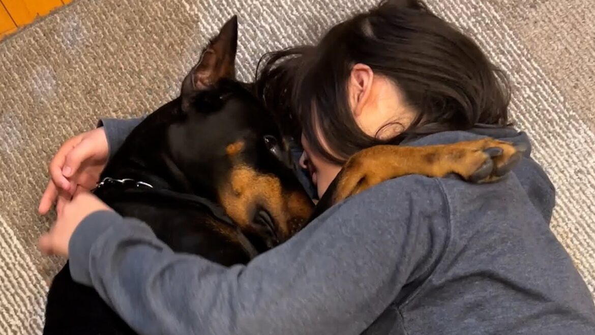 【悲報】大好きな長女と抱きつて眠ってたドーベルマンだったが・・・ 【悲報】大好きな長女と抱きつて眠ってたドーベルマンだったが・・・