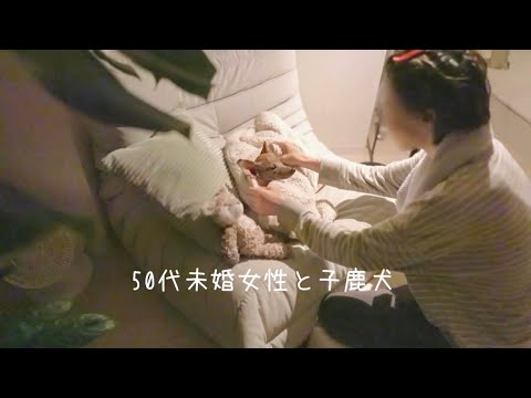 50代、未婚、子なし。結婚もせず子鹿犬だけを愛する理由はいつもここにある【ミニピン】 50代、未婚、子なし。結婚もせず子鹿犬だけを愛する理由はいつもここにある【ミニピン】