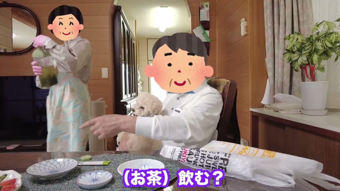 バァバ74歳の誕生日祝いに愛犬とパパ実家に行ったらジィジが…笑【トイプードル】