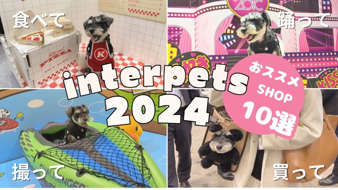 【インターペット2024】日本最大級のペットイベントin東京ビッグサイト | オススメショップ10選