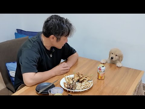 あの素晴らしい日々がよみがえる。小さい体の大きな存在。【Golden Retriever japan】 あの素晴らしい日々がよみがえる。小さい体の大きな存在。【Golden Retriever japan】