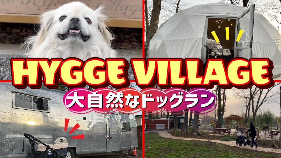 大自然を感じたペキニーズRinが過ごす、のんびりとした時間…