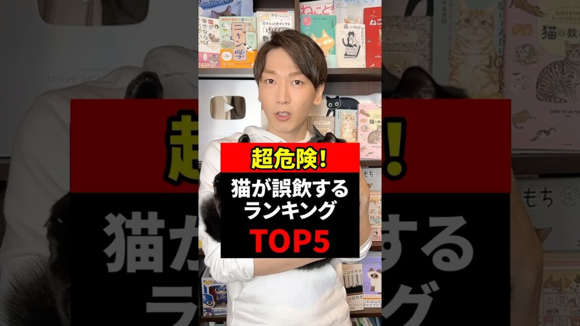 超危険！猫が誤飲するランキングTOP5 #猫 #猫のいる暮らし #ねこ