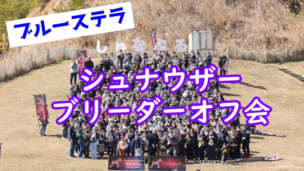 しゅなぶる！184頭310名が大集合！[シュナウザー][schnauzer][ブルーステラ][オフ会][ブリーダー][dog base]