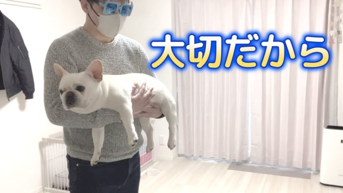 時間をかけてゆっくりと【フレンチブルドッグ frenchbulldog】