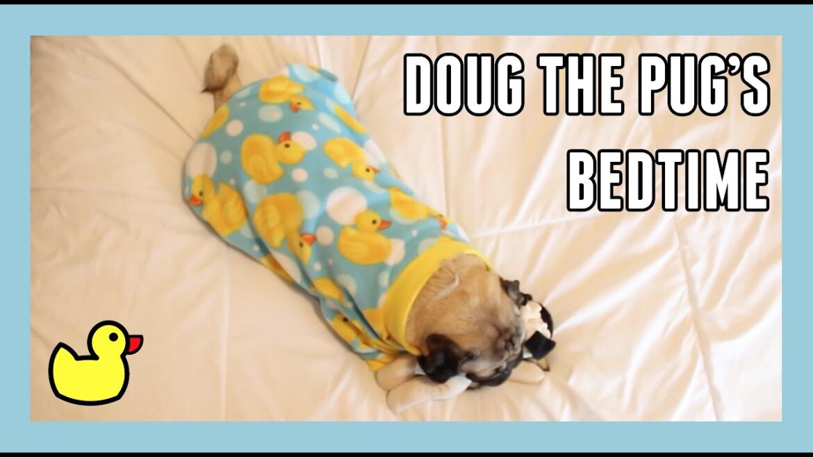 Doug the Pug’s Bedtime Doug the Pug's Bedtime
