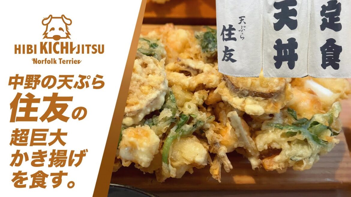 中野の天ぷら「住友」超巨大かき揚げ【 dog ノーフォークテリア norfolkterrier 和食 定食】