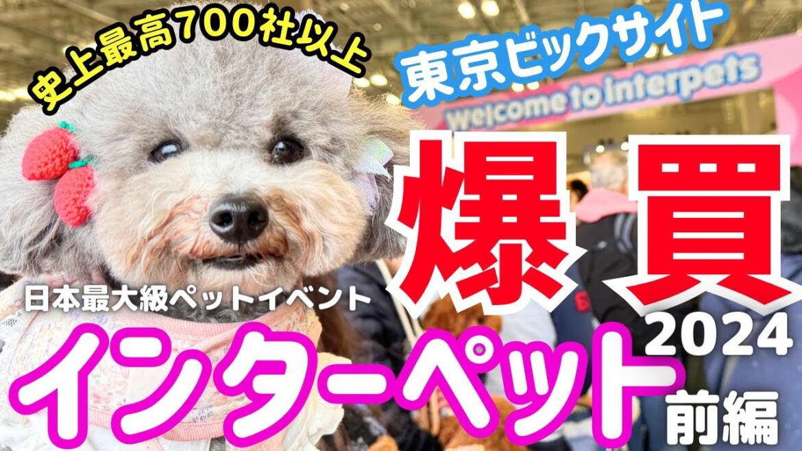 【インターペット2024】日本最大級のペットイベントで爆買い＆無料サンプル ノベルティーに大興奮🐶【東京ビッグサイト】【犬イベント】前編