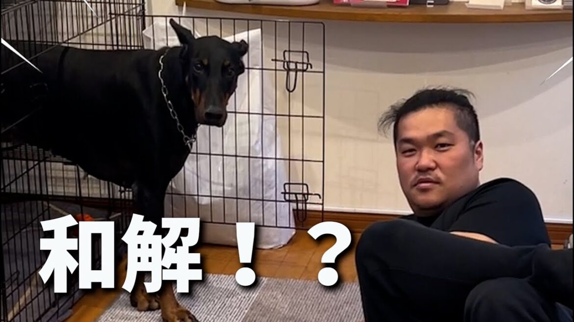 大好きなBBQでドーベルマンとパパを和解させようとするママ
